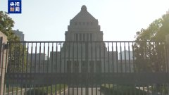日本立宪民主党称考虑对